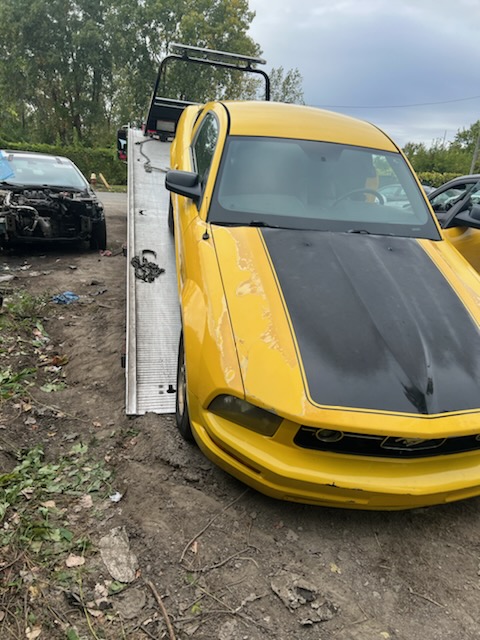 Moe’s Cash for Junk Cars — photo